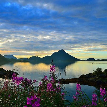 Skjellbogen Hyttegrend Sortland Luaran gambar