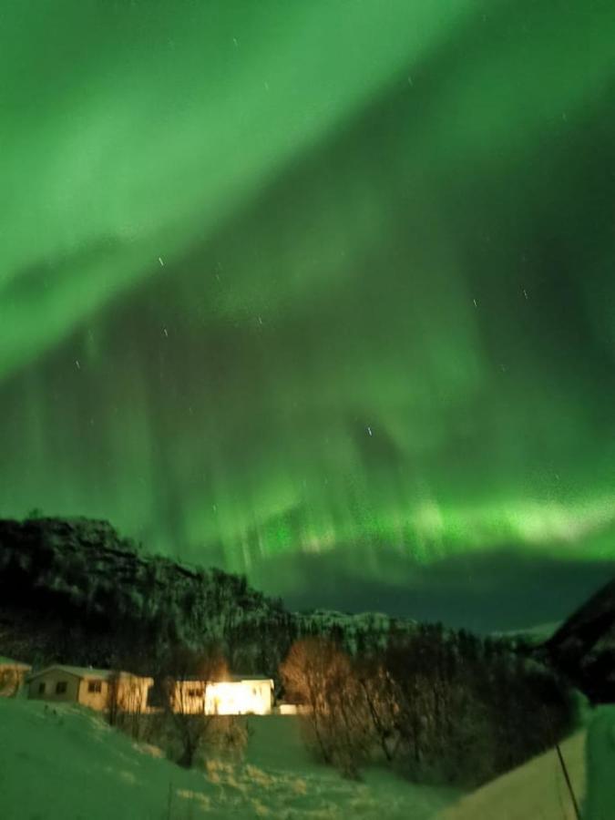 Skjellbogen Hyttegrend Sortland Luaran gambar