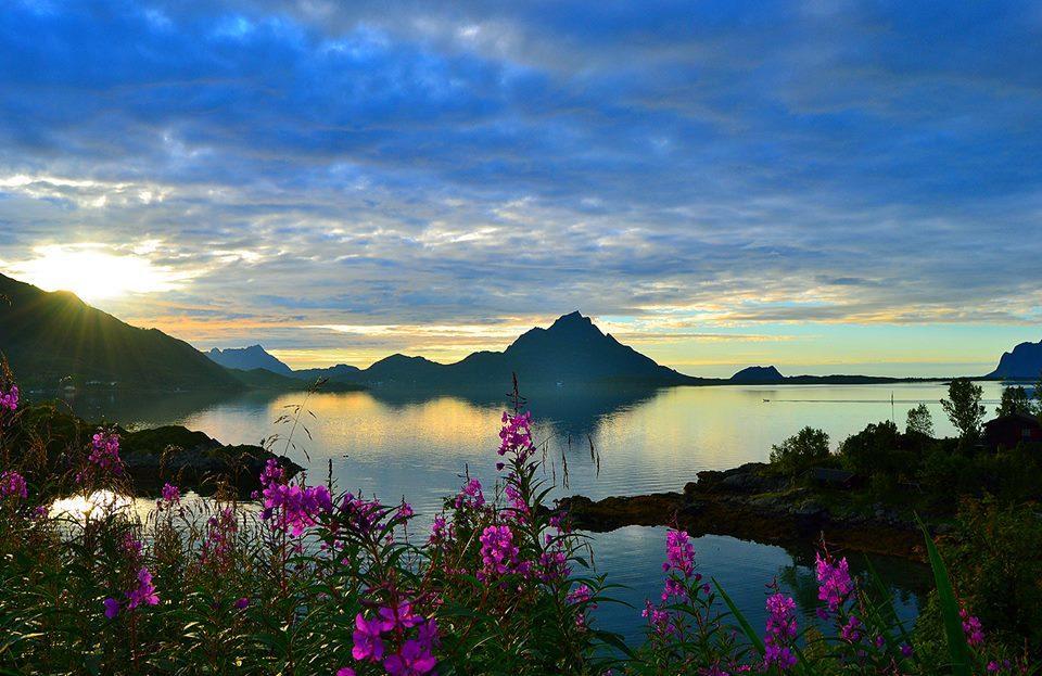Skjellbogen Hyttegrend Sortland Luaran gambar