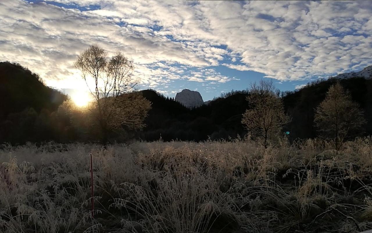 Skjellbogen Hyttegrend Sortland Luaran gambar