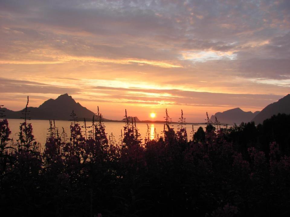 Skjellbogen Hyttegrend Sortland Luaran gambar